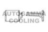 AUTOGAMMA 104814 Heat Exchanger, interior heating